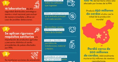 La importancia de la industria porcícola en México La importancia de la industria porcícola en México