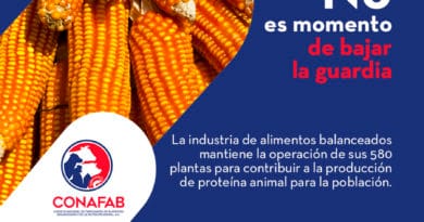 La industria pecuaria trabaja para reducir el efecto negativo de la Covid-19 La industria pecuaria trabaja para reducir el efecto negativo de la Covid-19